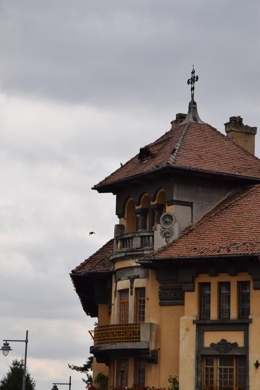 Haydn Vintage Apartment Braşov Esterno foto